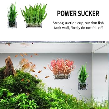 Amazon.co.jp: 4個パック 拡大水草ポット 穴付き 四角い水草